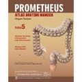 Prometheus Atlas Anatomi Manusia ; Organ Dalam