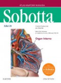 Sobotta ; Atlas Anatomi Manusia Organ Interna