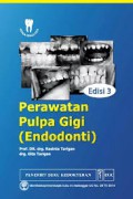 Perawatan Pulpa Gigi (Endodonti)